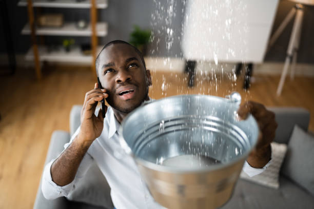 Best Flood restoration services  in Avondale, LA