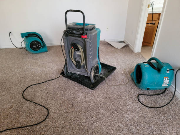Best Commercial water damage restoration  in Avondale, LA