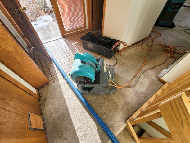 Best Carpet water damage restoration  in Avondale, LA