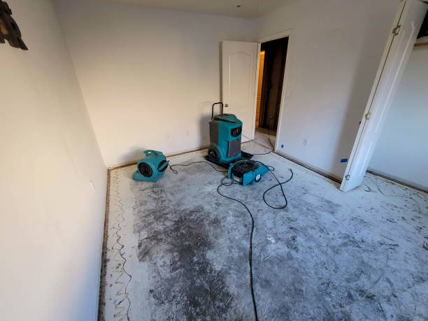Best Water damage restoration near me  in Avondale, LA