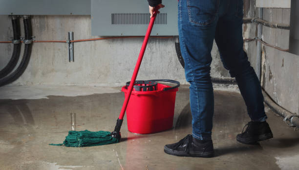 Best Water damage restoration process  in Avondale, LA