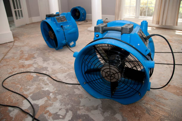 Best 24-hour water damage restoration  in Avondale, LA