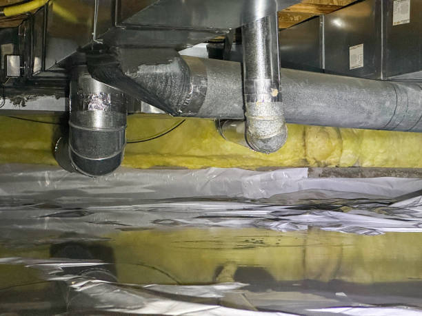 Best Water damage cleanup near me  in Avondale, LA